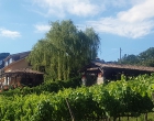 Agriturismo-11