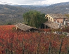 Agriturismo1